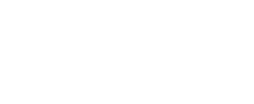Signature of Dott. Alessandro Perotti